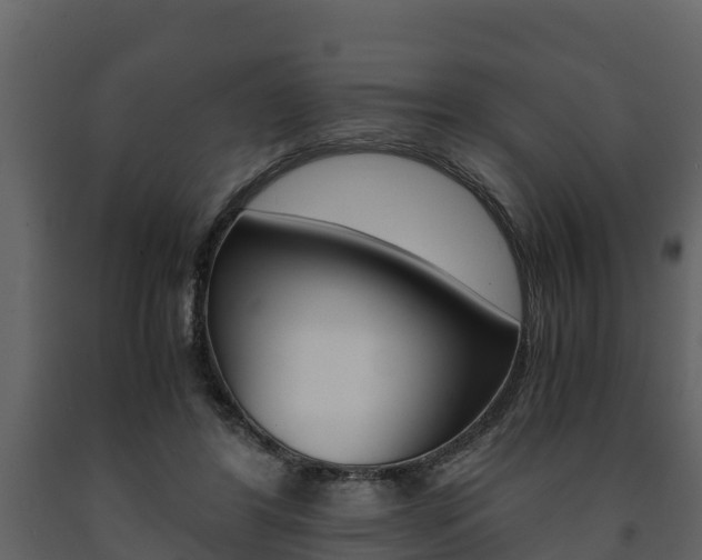 X0000091710404200708241001