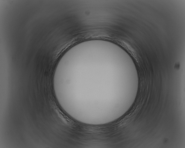 X0000091710405200708241001