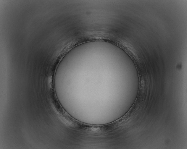 X0000091710406200708241001