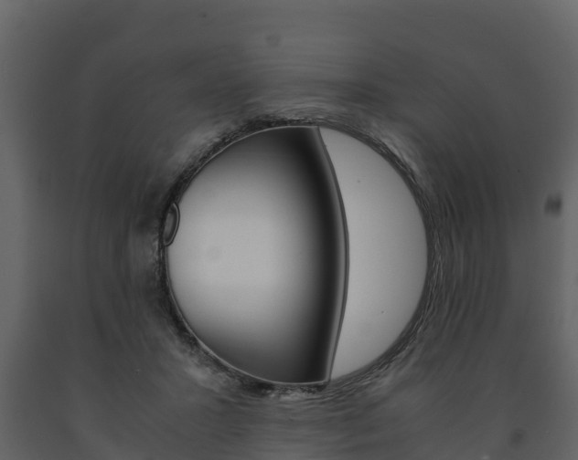 X0000091710407200708241001