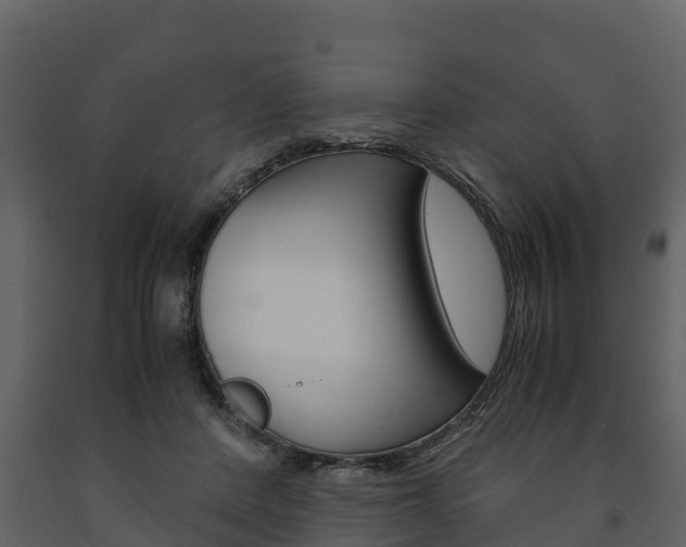 X0000091710408200708241001