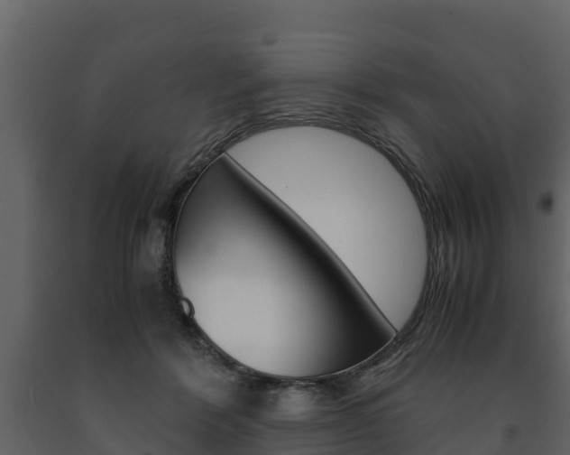 X0000091710412200708241001