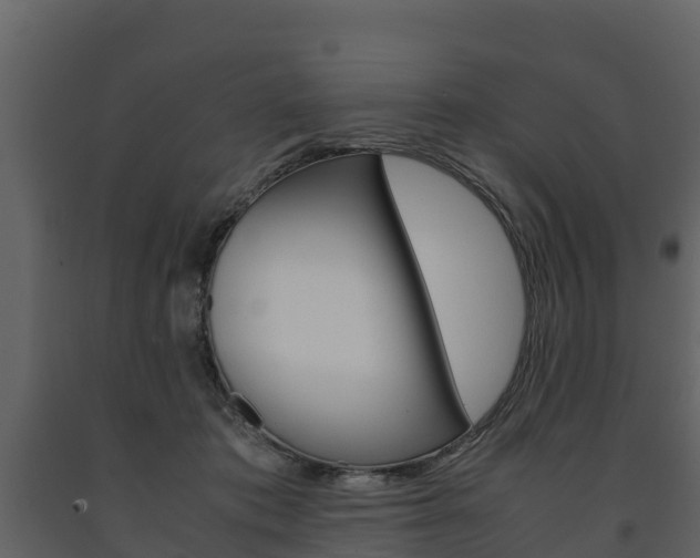 X0000091710413200708241001