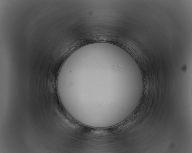 X0000091710414200708241001