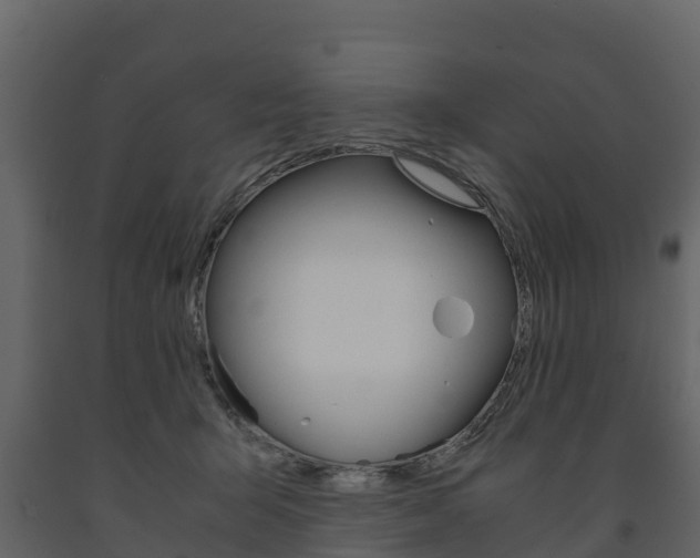 X0000091710415200708241001