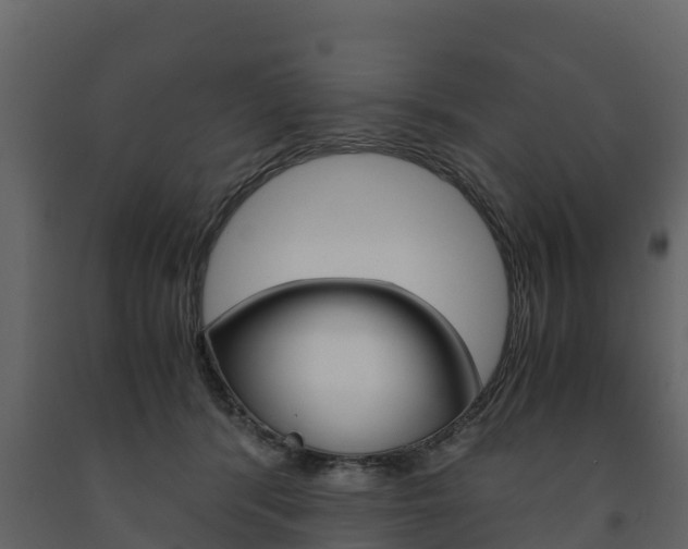 X0000091710416200708241001