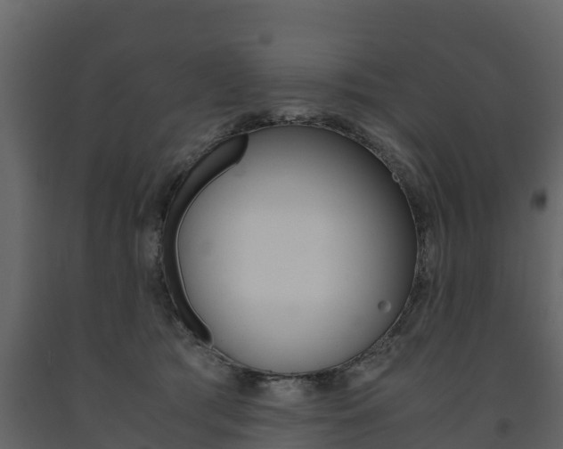 X0000091710417200708241001