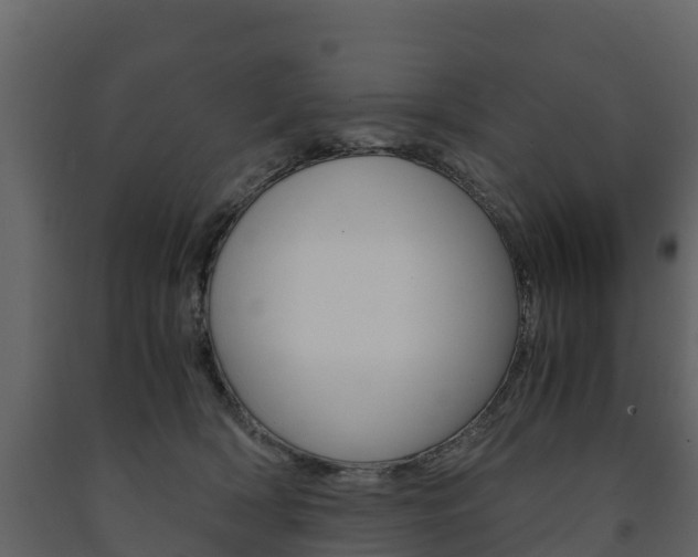 X0000091710418200708241001