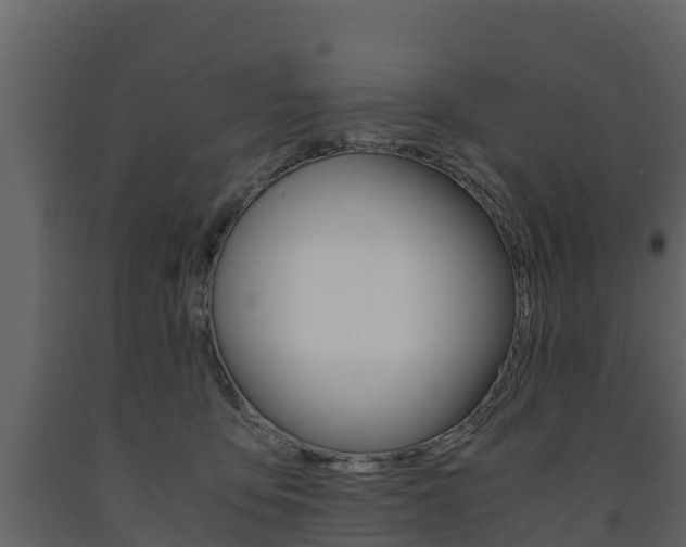 X0000091710419200708241001