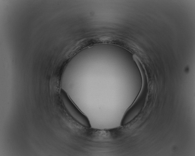 X0000091710421200708241001