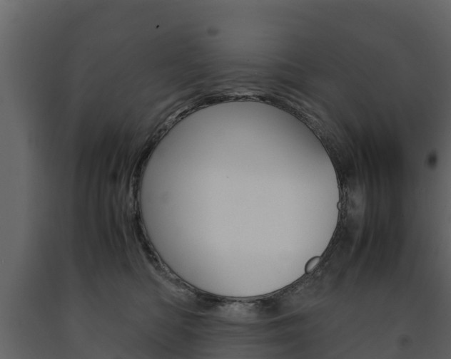 X0000091710422200708241001