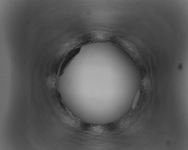 X0000091710423200708241001