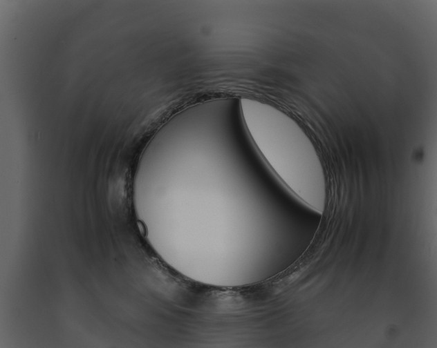 X0000091710424200708241001
