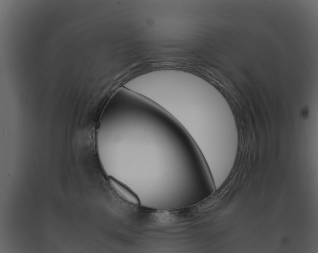 X0000091710425200708241001