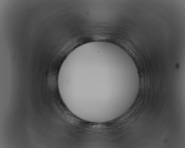 X0000091710426200708241001