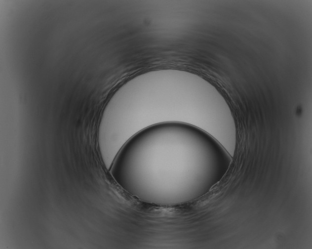 X0000091710428200708241001