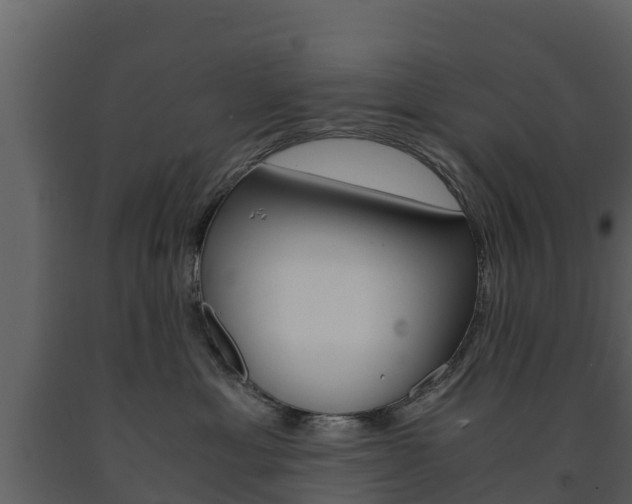 X0000091710429200708241001
