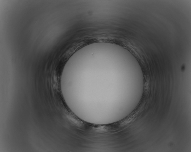 X0000091710430200708241001