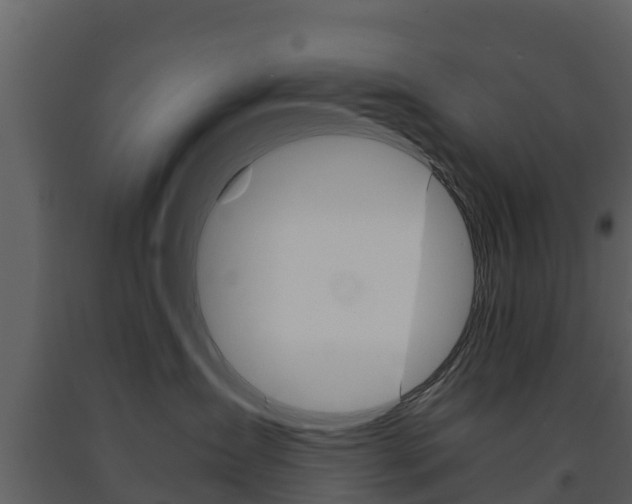 X0000091710431200708241001