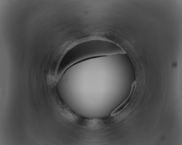 X0000091710432200708241001