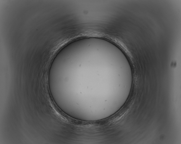 X0000091710433200708241000