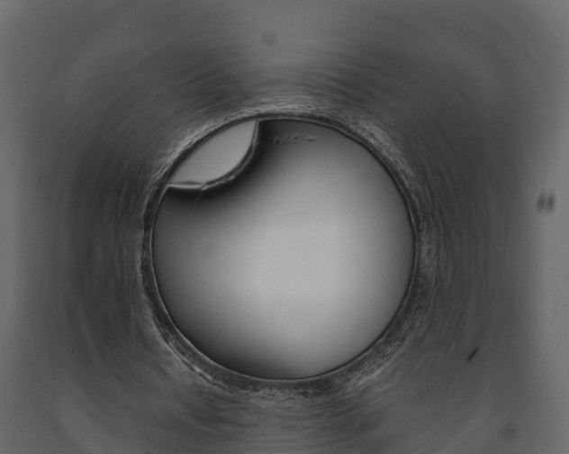 X0000091710434200708241000