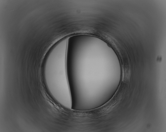 X0000091710435200708241000