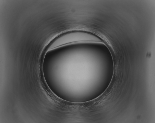 X0000091710436200708241000