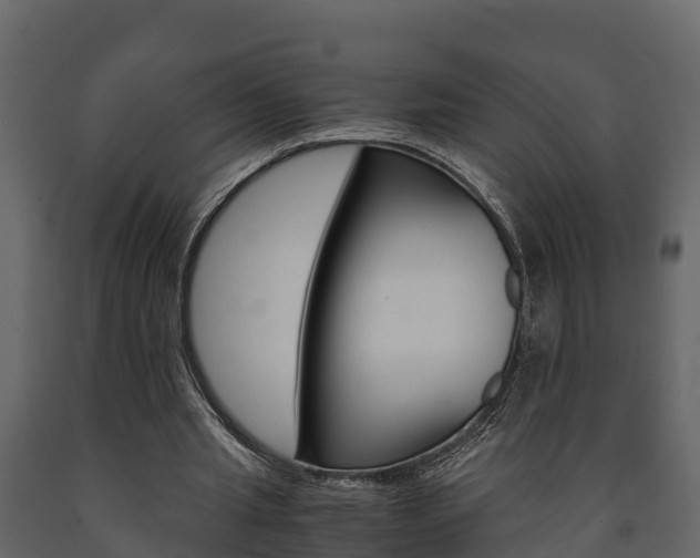 X0000091710437200708241000
