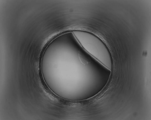 X0000091710438200708241000