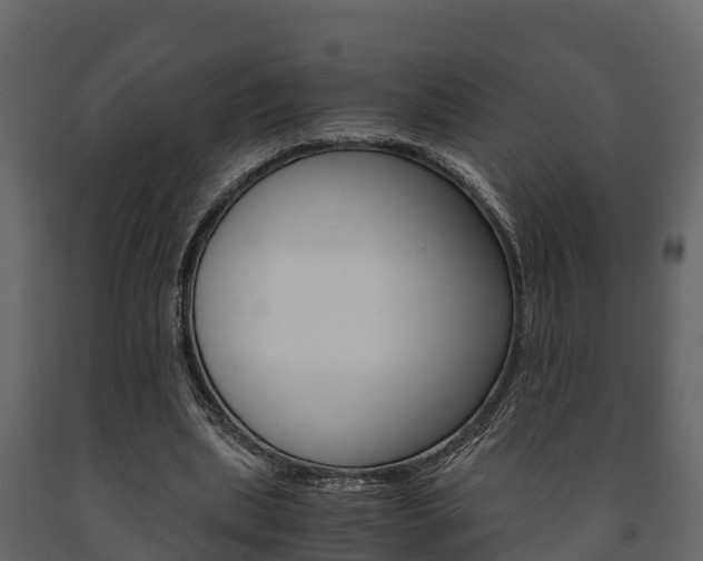 X0000091710439200708241000