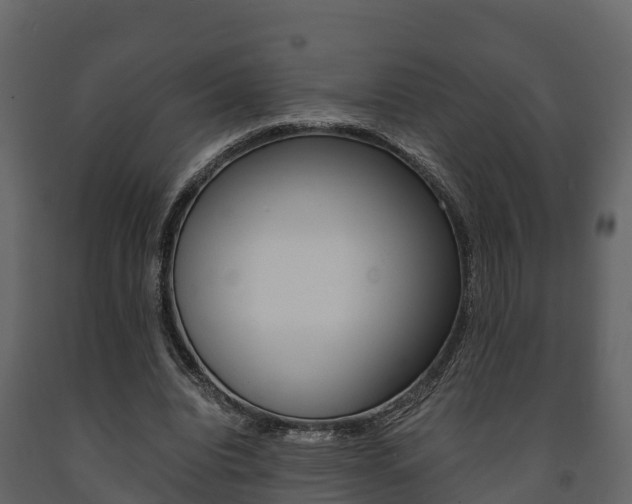 X0000091710440200708241000