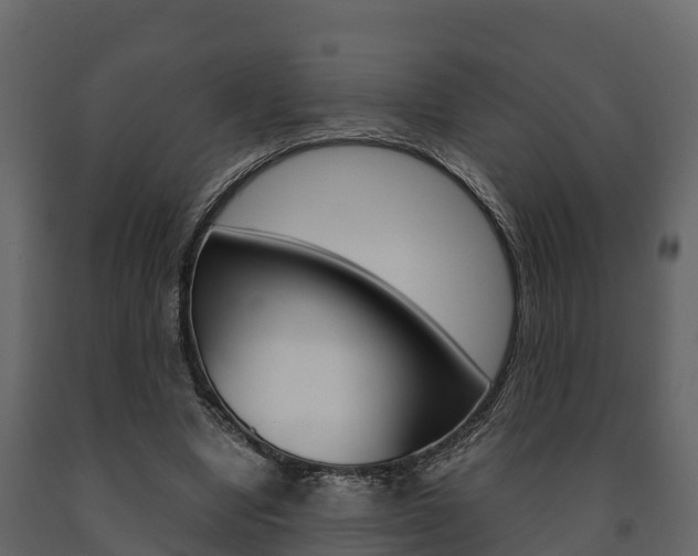 X0000091710442200708241000