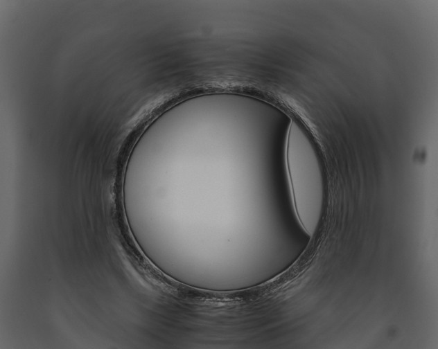 X0000091710443200708241000