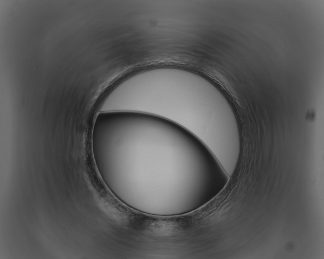 X0000091710444200708241000