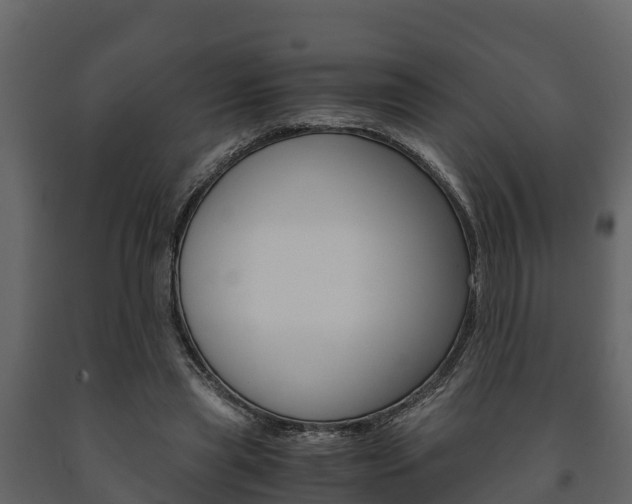 X0000091710445200708241000