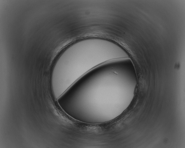 X0000091710446200708241000