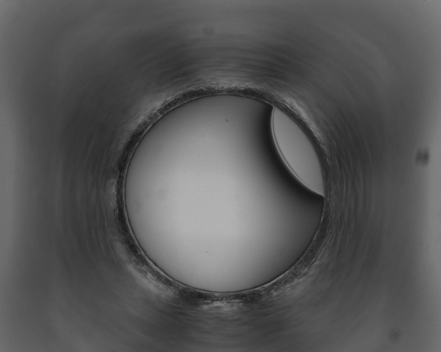 X0000091710447200708241000