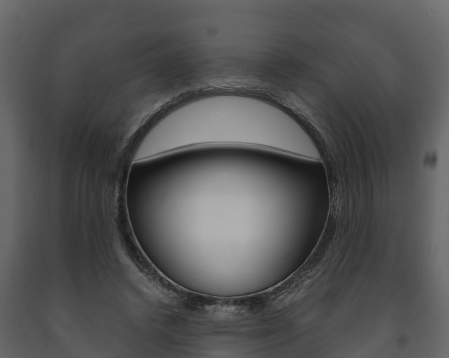 X0000091710448200708241000