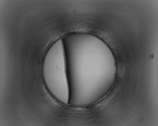 X0000091710449200708241000