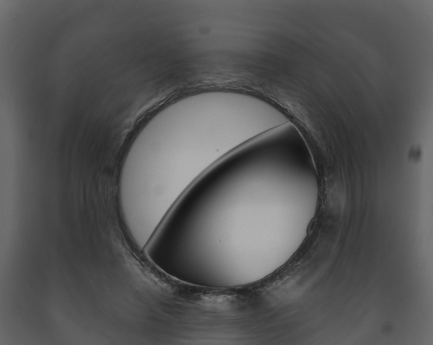 X0000091710450200708241000