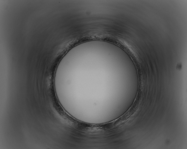 X0000091710451200708241000
