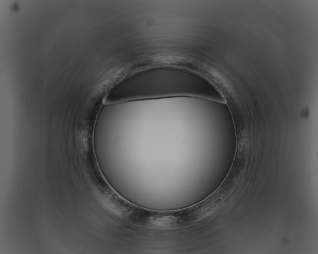X0000091710452200708241000