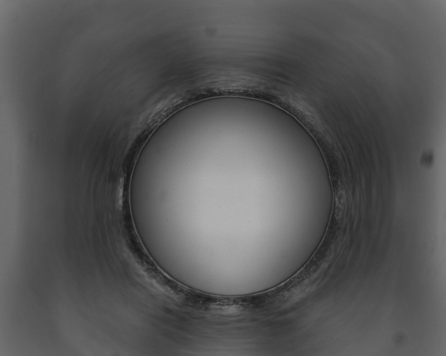 X0000091710454200708241000