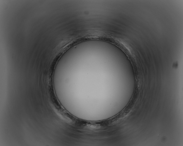 X0000091710455200708241000