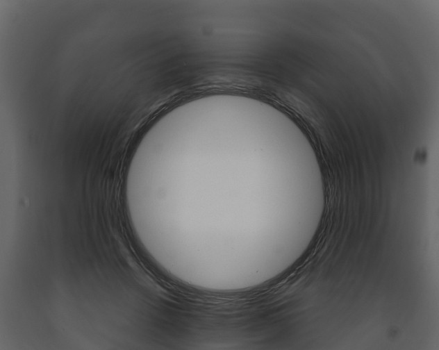X0000091710456200708241000