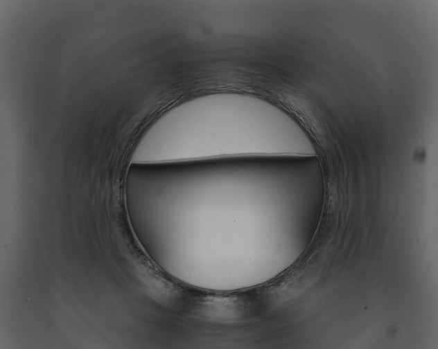 X0000091710457200708241000