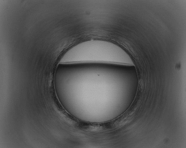X0000091710458200708241000