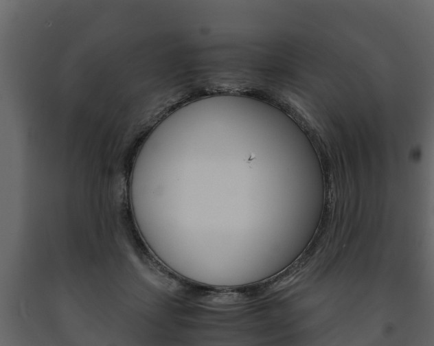 X0000091710459200708241000