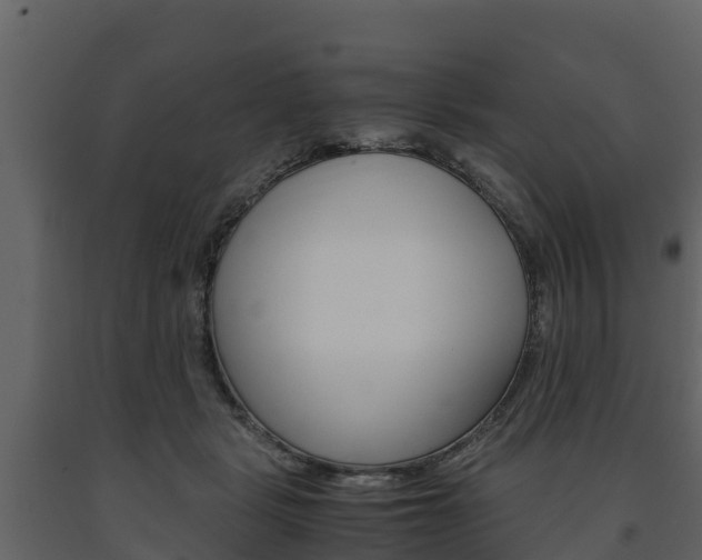X0000091710461200708241000